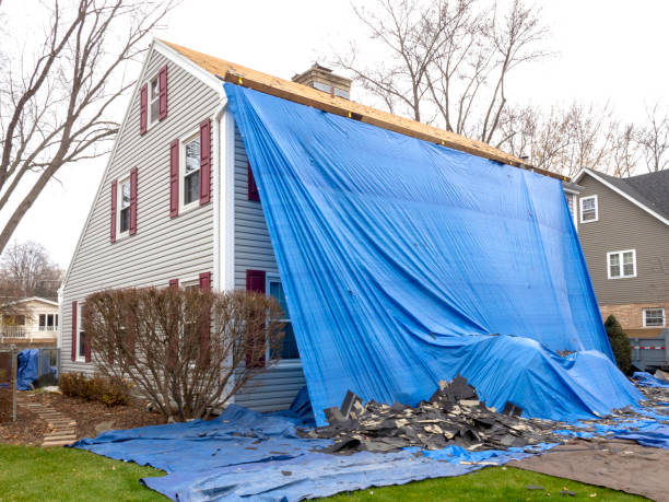 Best Storm Damage Siding Repair  in South Temple, PA